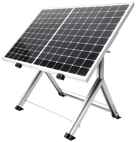 Business Professional